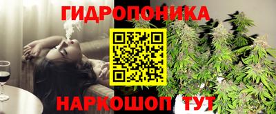 сатива Балахна